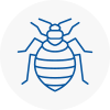Bed Bug Extermination In Shenfield