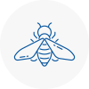 Bee Nest Removal Shenfield