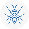 Shenfield Hornet Nest Removals