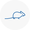 Mice Exterminators In Shenfield
