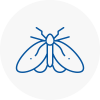 Moth Control Specialists In Shenfield