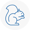 Shenfield Rodent Removals